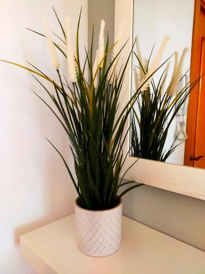 Apartament Geminis Wifi Parking Free Tossa de Mar Apartamento